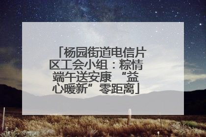 杨园街道电信片区工会小组：粽情端午送安康 “益心暖新”零距离