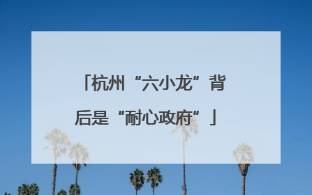 杭州“六小龙”背后是“耐心政府”