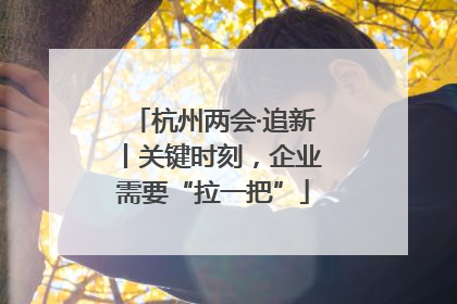 杭州两会·追新丨关键时刻，企业需要“拉一把”