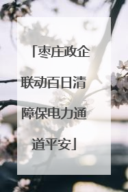 枣庄政企联动百日清障保电力通道平安