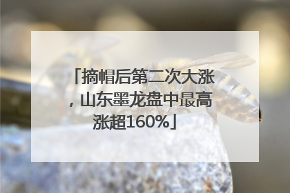 摘帽后第二次大涨，山东墨龙盘中最高涨超160%