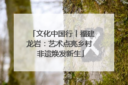 文化中国行丨福建龙岩：艺术点亮乡村 非遗焕发新生