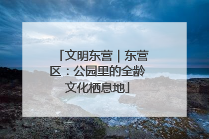 文明东营｜东营区：公园里的全龄文化栖息地