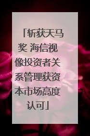 斩获天马奖 海信视像投资者关系管理获资本市场高度认可