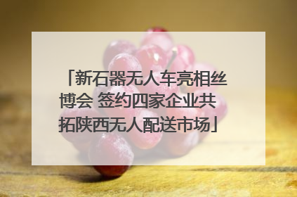 新石器无人车亮相丝博会 签约四家企业共拓陕西无人配送市场