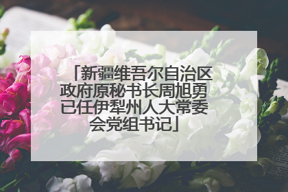 新疆维吾尔自治区政府原秘书长周旭勇已任伊犁州人大常委会党组书记
