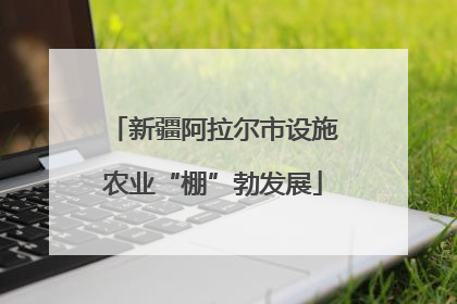 新疆阿拉尔市设施农业“棚”勃发展
