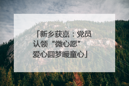 新乡获嘉：党员认领“微心愿” 爱心圆梦暖童心