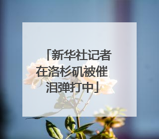 新华社记者在洛杉矶被催泪弹打中