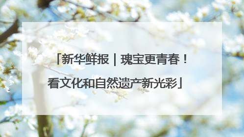 新华鲜报｜瑰宝更青春！看文化和自然遗产新光彩
