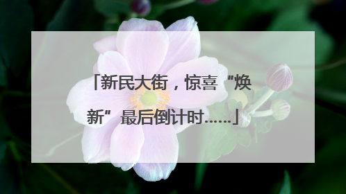 新民大街，惊喜“焕新”最后倒计时……