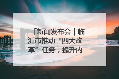 新闻发布会｜临沂市推动“四大改革”任务，提升内部审计监督效能