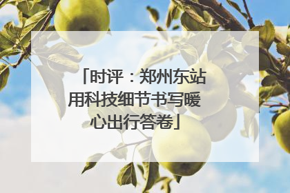 时评：郑州东站用科技细节书写暖心出行答卷