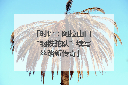 时评：阿拉山口“钢铁驼队”续写丝路新传奇