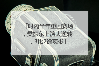 时隔半年重回赛场，樊振东上演大逆转，3比2徐瑛彬