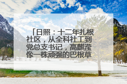 日照：十二年扎根社区，从全科社工到党总支书记，高麒滢像一株顽强的巴根草，把根深深扎进基层的土壤——“巴根草书记”的夏日叙事