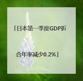 日本第一季度GDP折合年率减少0.2%