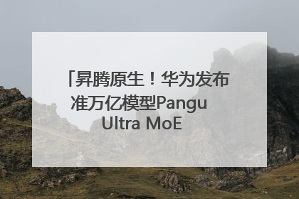 昇腾原生！华为发布准万亿模型Pangu Ultra MoE模型架构和训练细节