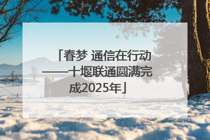 春梦 通信在行动——十堰联通圆满完成2025年