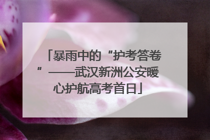 暴雨中的“护考答卷”——武汉新洲公安暖心护航高考首日