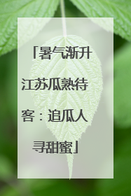 暑气渐升江苏瓜熟待客：追瓜人寻甜蜜