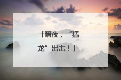 暗夜，“猛龙”出击！