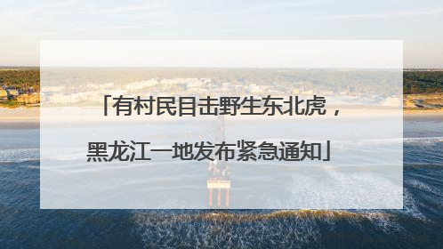 有村民目击野生东北虎，黑龙江一地发布紧急通知