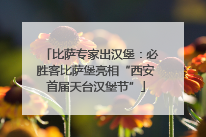 比萨专家出汉堡：必胜客比萨堡亮相“西安首届天台汉堡节”