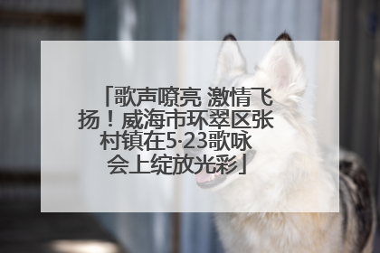 歌声嘹亮 激情飞扬！威海市环翠区张村镇在5·23歌咏会上绽放光彩