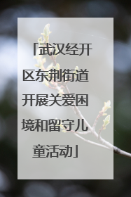 武汉经开区东荆街道开展关爱困境和留守儿童活动