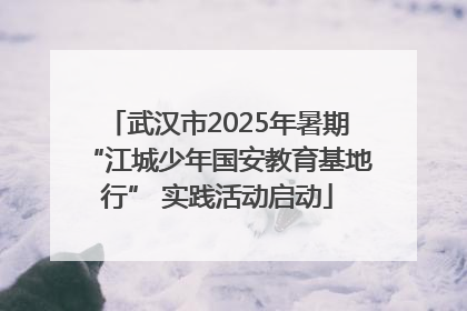 武汉市2025年暑期“江城少年国安教育基地行” 实践活动启动