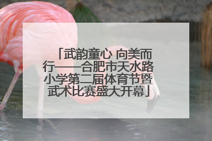 武韵童心 向美而行——合肥市天水路小学第二届体育节暨武术比赛盛大开幕