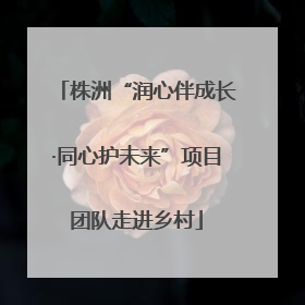 株洲“润心伴成长·同心护未来”项目团队走进乡村