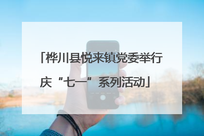 桦川县悦来镇党委举行庆“七一”系列活动