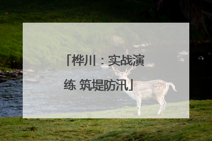 桦川：实战演练 筑堤防汛