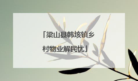 梁山县韩垓镇乡村物业解民忧