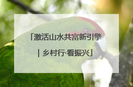 激活山水共富新引擎｜乡村行·看振兴
