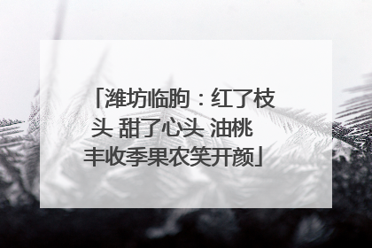 潍坊临朐：红了枝头 甜了心头 油桃丰收季果农笑开颜
