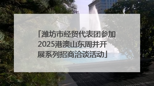 潍坊市经贸代表团参加2025港澳山东周并开展系列招商洽谈活动