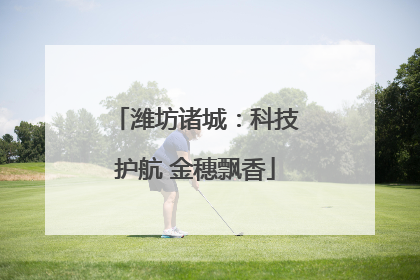 潍坊诸城：科技护航 金穗飘香