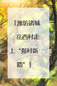 潍坊诸城：岳西村走上“强村新路”