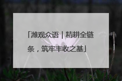 潍观众语｜精耕全链条，筑牢丰收之基