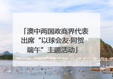 澳中两国政商界代表出席“以球会友·同贺端午”主题活动