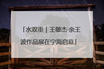 水双重｜王敏杰·余王波作品展在宁海启幕