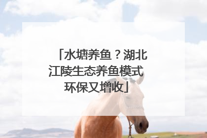 水塘养鱼？湖北江陵生态养鱼模式环保又增收