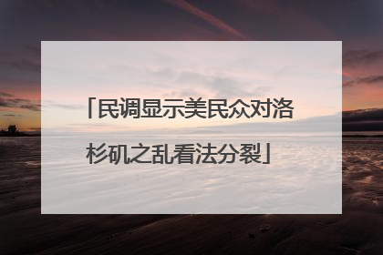 民调显示美民众对洛杉矶之乱看法分裂