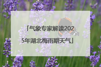气象专家解读2025年湖北梅雨期天气