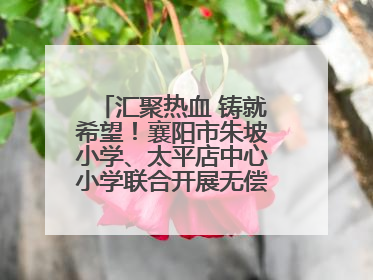 汇聚热血 铸就希望！襄阳市朱坡小学、太平店中心小学联合开展无偿献血活动