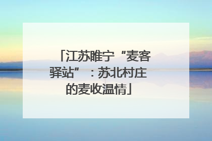 江苏睢宁“麦客驿站”：苏北村庄的麦收温情