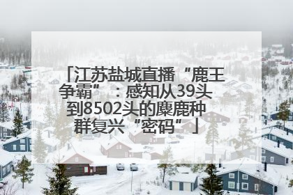 江苏盐城直播“鹿王争霸”：感知从39头到8502头的麋鹿种群复兴“密码”